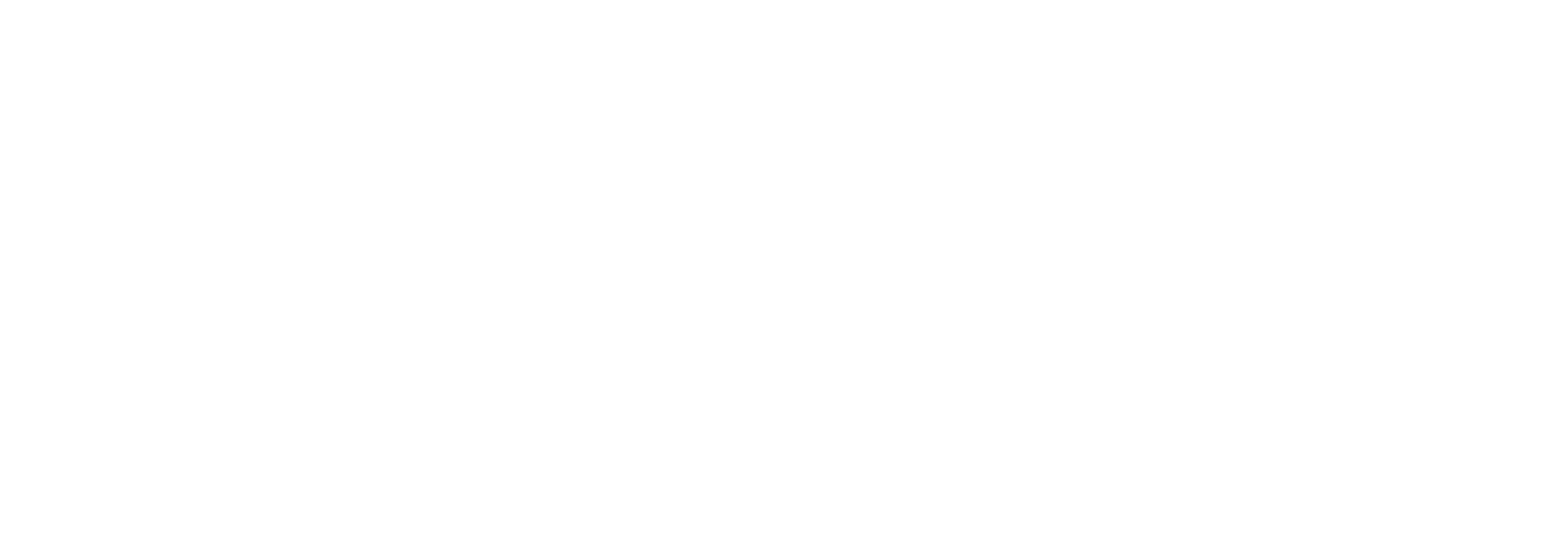 ChainLeak logo